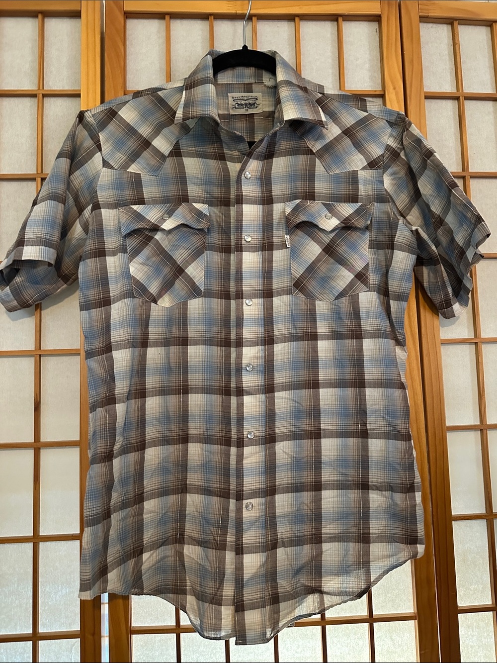 Women’s vintage Levi’s pearl snap shirt- Brown & Blue